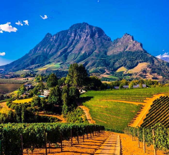 estates of the Franschhoek Valley, which is internationally recognized for the exceptional quality of their wines.