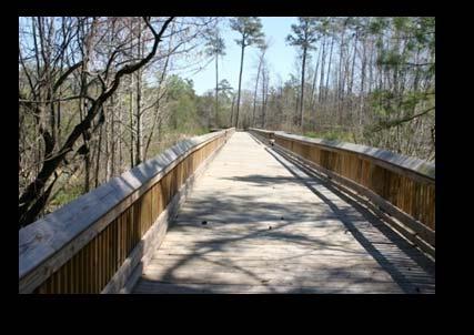 walkways above wetland areas Connections to the