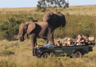 Free Roaming Big 5 Imagine co-existing with herds of wildlife in a vast and beautiful place.