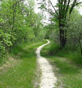 Management Plan 19 Guidelines: - Prepare a trails plan for Spruce Woods that will: direct monitoring of trail use and trail conditions to ensure trails continue to meet objectives for the park assess