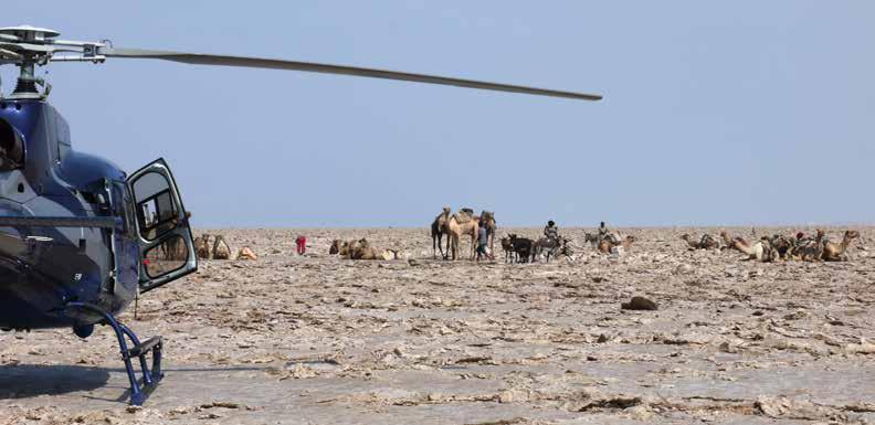 Today, you are most likely to see the Afar with their huge trains of camels,
