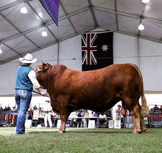 AUSTRALIA S PREMIER AGRICULTURAL SHOWCASE Since 1822, the Royal Agricultural Society of NSW (RAS) has been a driving force in the development of agriculture in Australia.