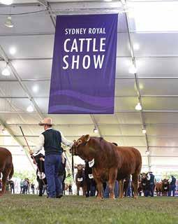 INTERNATIONAL DELEGATE PROGRAM The Royal Agricultural Society of NSW welcomes all international industry delegates to the 2018 Sydney Royal Easter Show.