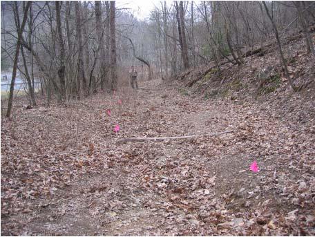 This trail is not currently open to bike traffic (except during the Fall Fear bike race), however with changes to this trail structure and increased drainage structures (rolling dips) this trail