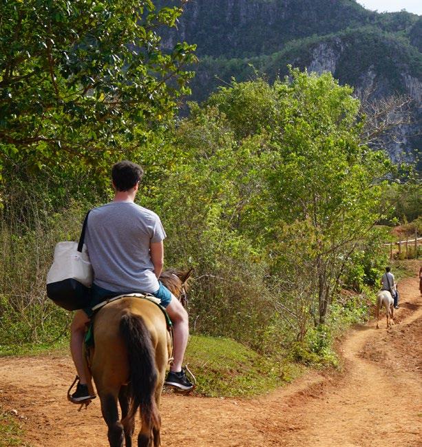 In the early afternoon we will arrive at Viñales and jump onto horseback (no experience required).