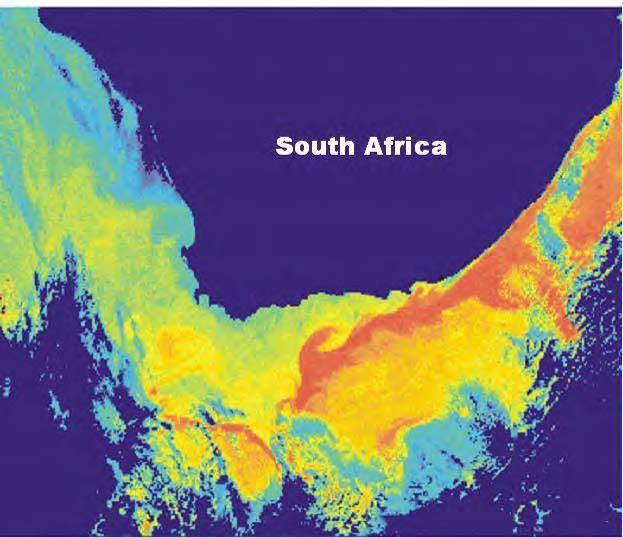 Exhibit 5-3: Satellite Image Showing Sea Surface Temperatures Surrounding Southern Africa. Source: B Clarke, courtesy Sue Lane & Robin Carter.