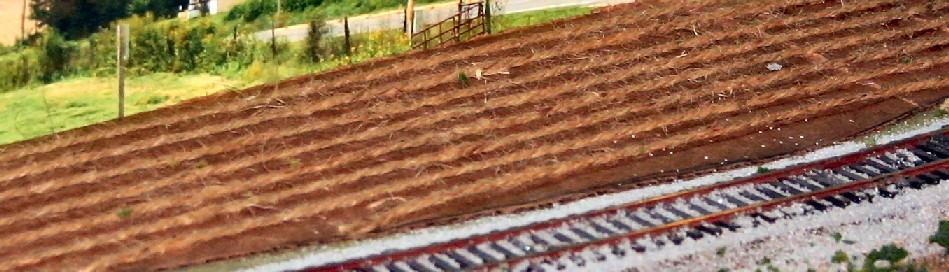 I had a narrow section beside a branch line that needed some scenery. The background image had corn fields in it from rural western Virginia.