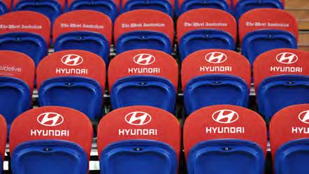 Corporate seating to all 14 Perth Wildcats regular season home games.