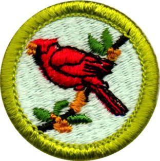 BIRD STUDY CAMPING CANOEING CLIMBING 8:30 am and 9:30 am See below. Needs previous work to complete at camp. Read merit badge pamphlet.