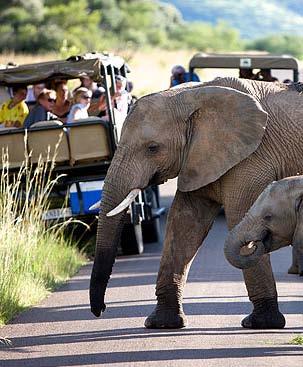 Pilanesberg National Park, the