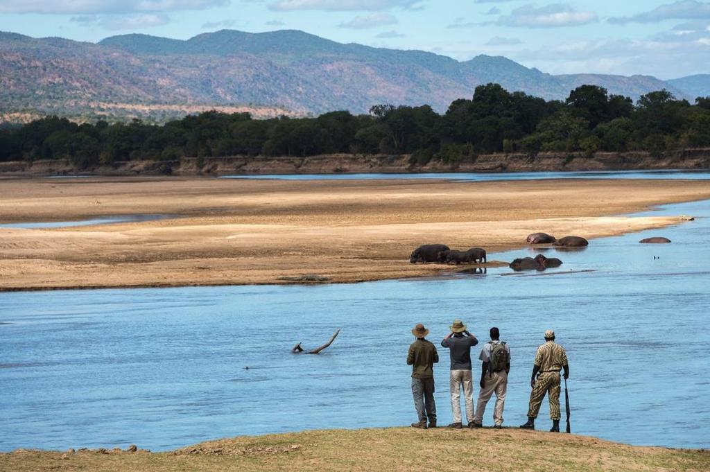 Zambia Walking Safari Duration: 9 days / 8 nights Start: Lusaka Finish: Lusaka Price From: $8,495 pp (based on 4 people, double occupancy) Request your date for exact pricing.