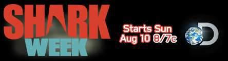 BEWARE: Shark Week is COMING to Durbin!