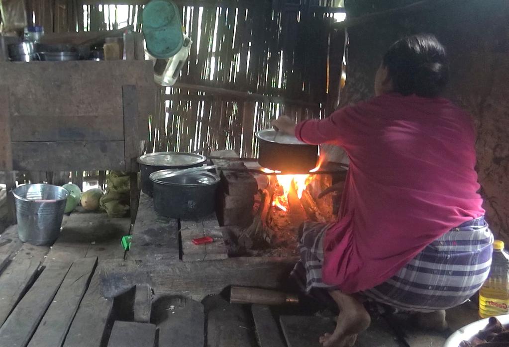 Women and clean cook stoves Energy Briefing Paper This briefing paper explores the opportunities and challenges for women of switching from inefficient wood-burning cook stoves to clean cook stoves,