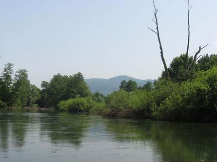 84 Slika 27: Bobrov habitat na Krki (foto: Vochl, 2007 in 2008) 5.2 NAHAJALIŠČE NA RADULJI 5.2.1 Opis raziskovalnega območja Radulja se izliva v reko Krko pri vasi Dobrava.