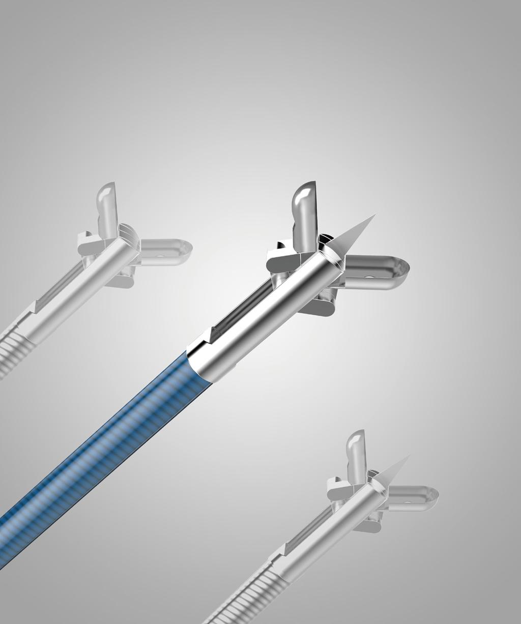 Disposable Biopsy Forceps Usage Tissue