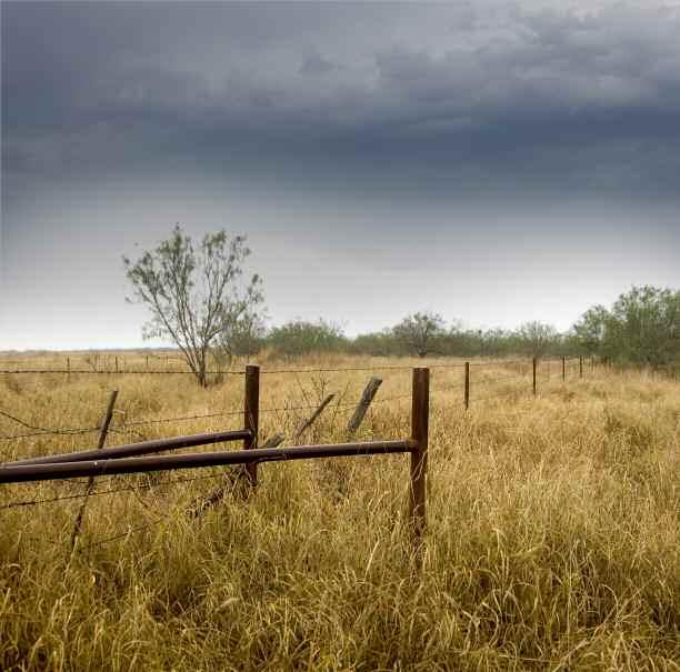 There are six fenced pastures within the perimeter for cattle grazing. There is also a 300-acre field that is planted with buffle and klein grass; the native grasses are bristle and curly mesquite.