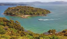 nz Birding, Wildlife & Scenic Cruises Tours from 1hr - full day Heated cabin, bathroom, covered viewing deck, cake and coffee Pelagic bird specialists Muttonbird Islands, seals, dolphin spotting