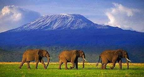 Mountaineering- Mt Kilimanjaro Mount Kilimanjaro is the highest mountain in Africa and is one of the seven summits. This mountain speaks for itself with several thousand visitors summiting each year.