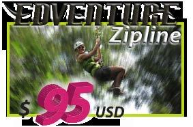 Edventure Zipline Tour Features ATV JUNGLE RIDE 6 PASSENGER POLARIS ZIPLINE THROUGH THE JUNGLE CANOPY 9 ZIPLINES & 5 CONNECTING BRIDGES SNORKEL UNDERGROUND RIVER AND CAVE CENOTE RAPPEL AND ROCK CLIMB