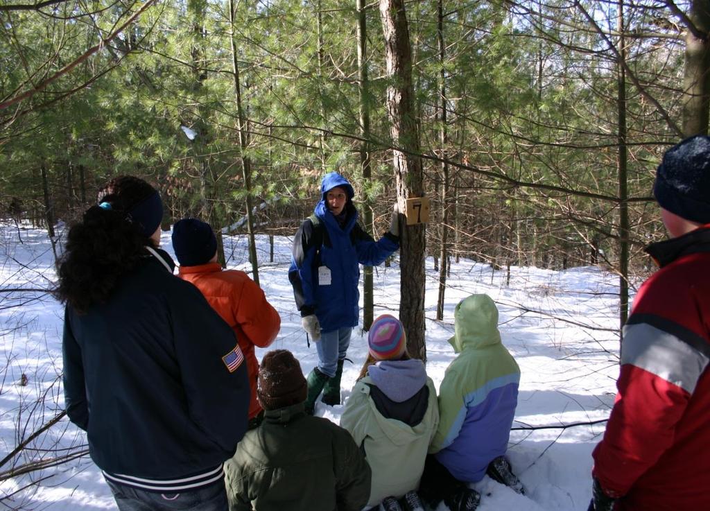 Forest Ecology Hike through our forest, learning
