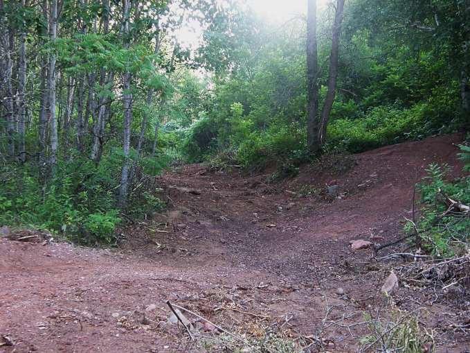 Carolina Thread Trail at Seven Oaks Preserve