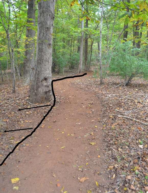 Thread Trail at Seven Oaks Preserve Gaston County, NC Trail Placement On Forest Roads Trail critical point, highlighted in black is