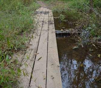 Carolina Thread Trail Mecklenburg County, NC West Branch Nature Preserve Trail