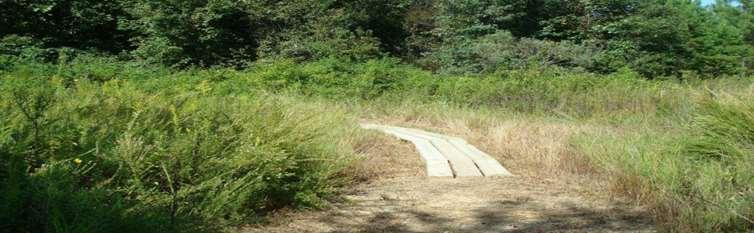 available Minimizing conflict with utility corridor maintenance through trail