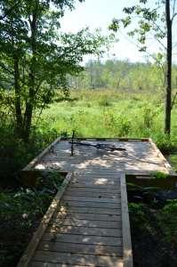 disturbance Wetland observation deck has its own dedicated access trail off the main