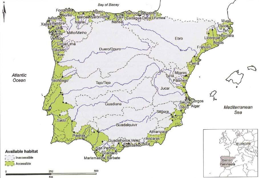 Principais bacías ibéricas e accesibilidade para os peixes migradores En Galicia o hábitat fluvial accesible para os peixes diádromos reduciuse aproximadamente nun 80 %, considerando as diferentes
