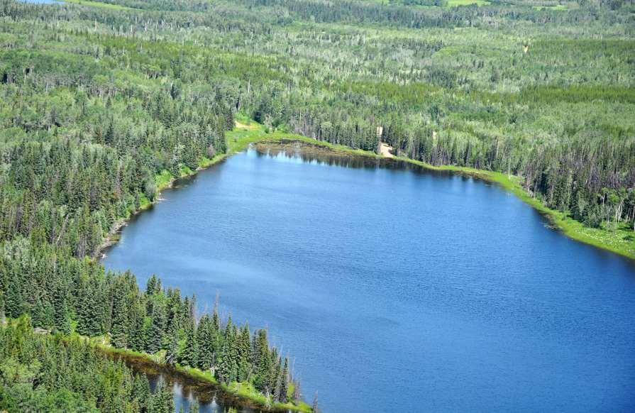 Invest in Waterfront Property Day Lake $599,000 Total Acreage: 465 acres Private