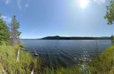 Spectacular Lakefront Investment Property! This beautiful property is located on the north shore of Day Lake and has approximately 7720 feet (2253 meters) of lake frontage.