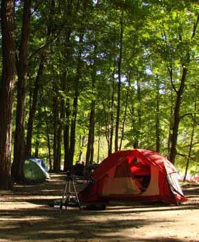 Camping is one of the most popular of these important and influential activities. Over three quarters of camping participants participate in multiple outdoor activities (80.2% down slightly from 84.