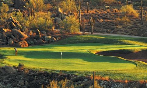 Other attractions in the area include art galleries, sports arenas, theaters, museums, Scottsdale shopping, championship golf and Arizona sightseeing.