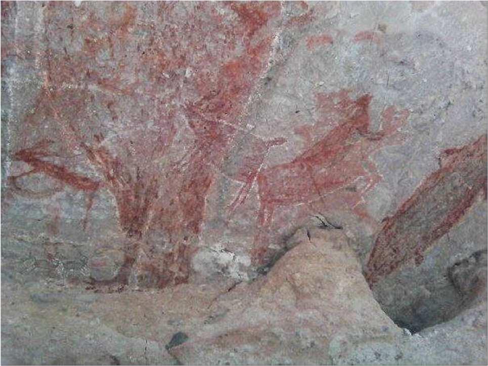 JANUARY 24 Head out on a morning visit to the San Francisco de la Sierra Village (approximately 1 hour drive) and explore ancient local cave paintings. From 100 B.C. to A.D.