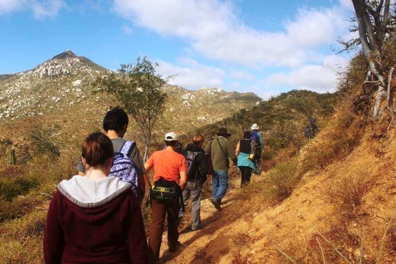 This afternoon, enjoy a half day hike with Jon Rebman near La Paz.
