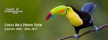 Costa Rica Photo Tour Feb 7th to 16th, 2018 The cost of our Costa Rica Tour is $3390.