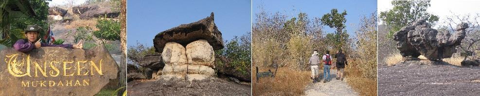 bizarre shaped rocks, including one resembling a camel.