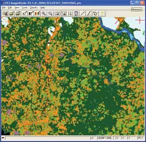 The automatic land cover classification is not used to detect coca cultivation, but rather to study broadly the various land cover present on an image.