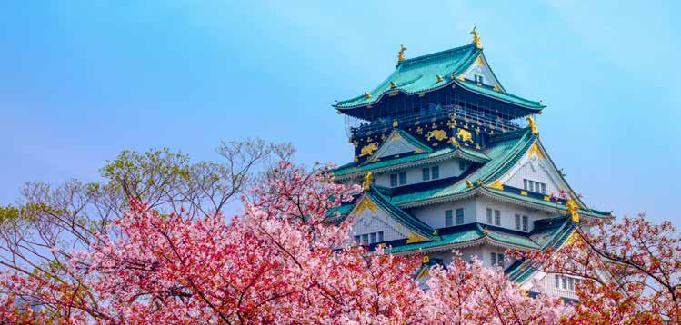 TASTE OF JAPAN $1999 PER PERSON TWIN SHARE TYPICALLY $3999 TOKYO KYOTO OSAKA MT FUJI THE OFFER Japan, a dazzling destination where ancient tradition meets modern convenience to spectacular effect.