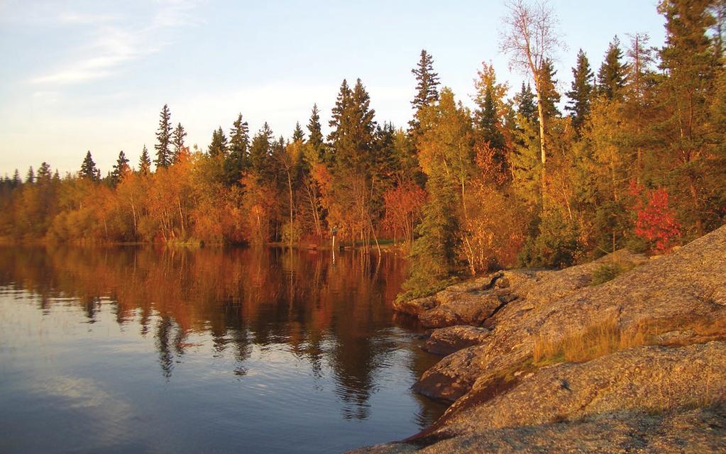 10 Nopiming Provincial Park The area around Tulabi Fall Campground was identified as a possible location for an ecological reserve in 2012 due to the occurrence of several important boreal species of