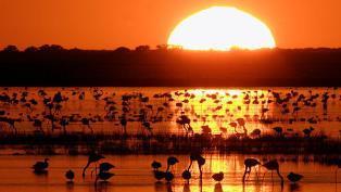 11. Doñana National Park & El Rocio Price: 110,00 /person (VAT included) Duration: 10 hours Operating Days: Wednesday 06:30 h Meliá Lebreros Hotel 06:45 h Meliá Sevilla Hotel From there we will drive