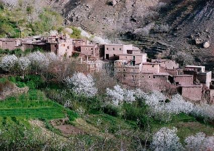 From La Perle du Dades you can easily take a stroll in the surrounding village or there is also direct access to the palmeries of the Dades Vally.