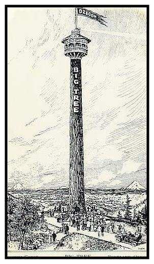 The Big Tree was erected in 1905 for the Lewis & Clark Centennial Exposition at the peak of Council Crest.
