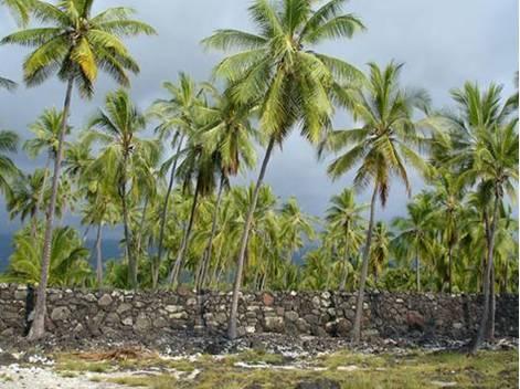 HILO The Big Island of Hawaii - Volcanoes, Lagoons & Lush Valleys Tropical growth is rampant on