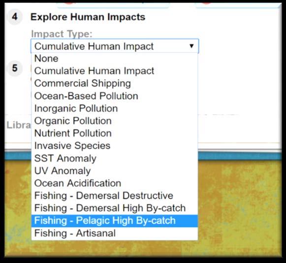 Make and complete a table like Table 1 on Slide 12. Use the Human Impacts Map overlay to find out how sharks are being affected by human activities in their hotspots.