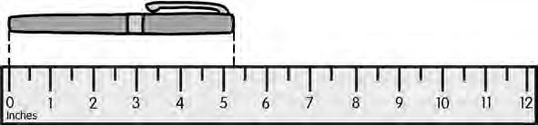 Measuring Length Measure the length