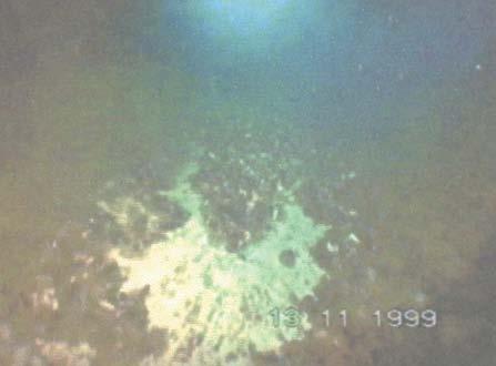 Podvodnim pregledom usisnih cjevovoda ([1]) u 11. mjesecu 1999. g.
