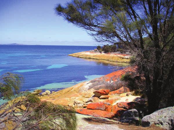 To maximize your experience on Flinders Island,