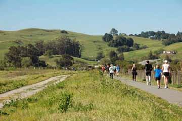 Petaluma Water Ways will connect the open spaces that exist to each other and to regional trail and transit networks via welcoming footpaths and bikeways.